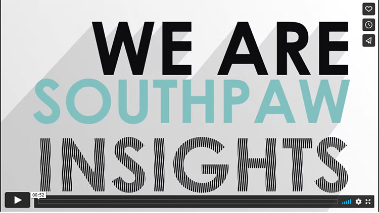 the words We are Southpaw Insights
